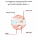 Yaşlanma Karşıtı ve Sıkılaştırıcı Serum 30ml - Görsel 4