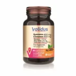 Gymnema Sylvestre 400 mg + Cinnamon 300 mg 90 Capsules