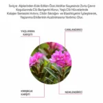Swiss Ice Beauty Meso serum 6ml X 2 Adet - Görsel 4