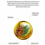 Çam Terebentin Ve Tatlı Badem Özlü B Vitamin Şampuan 700ml - Görsel 2