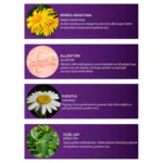 Arnica Montana Hassas Tonik 200 Ml - Görsel 4