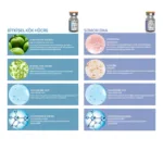 Pro+ Pure Cocktail Cilt Bakımı Meso Serumu 6 Ml X 8 Adet - Görsel 6